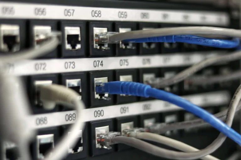 Blue and gray Network Cables